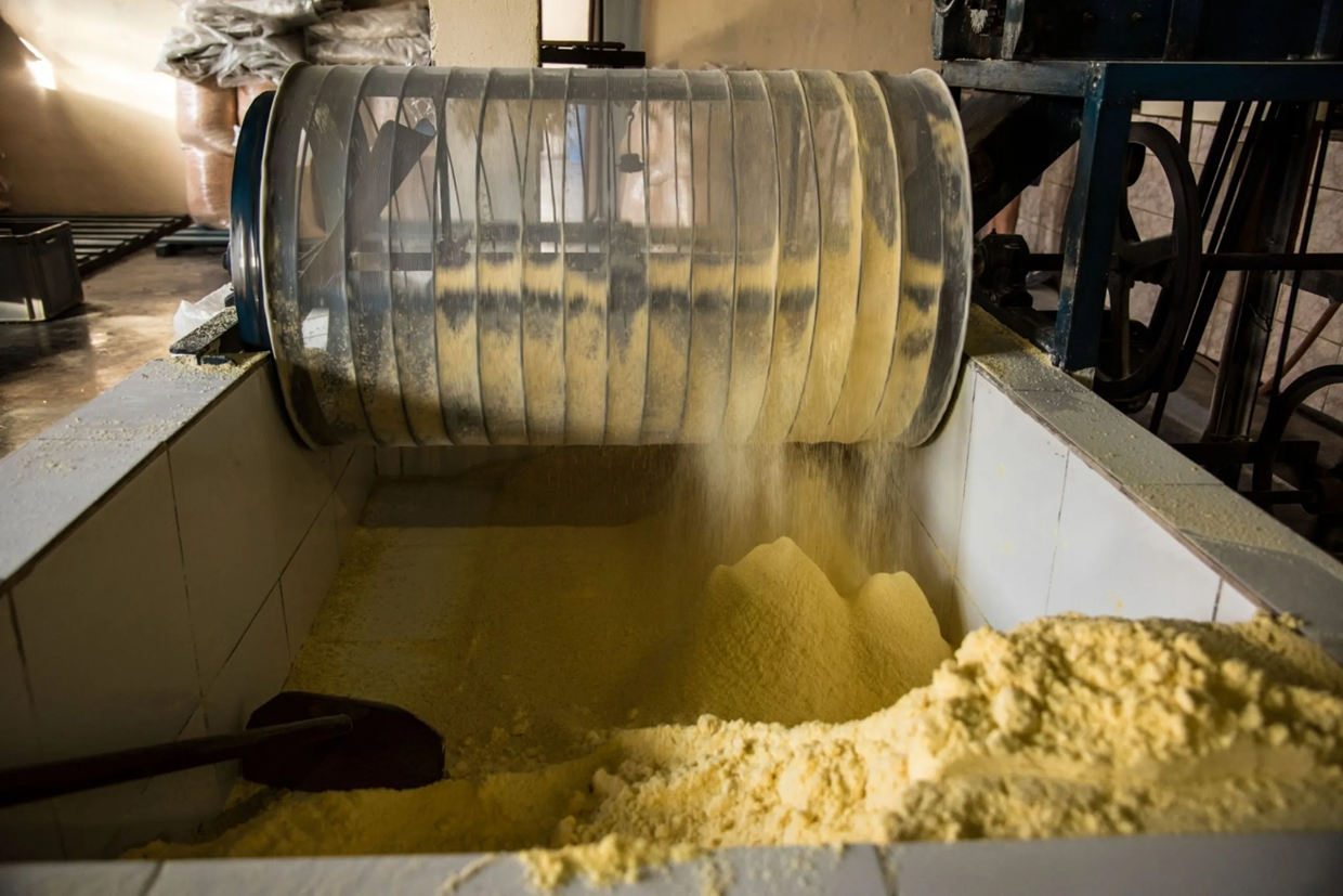 Egg Powder Plant Manufacturers - Raj Process Equipments